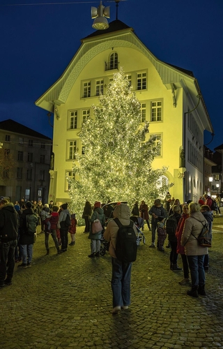 Der traditionelle Weihnachtsbaum.