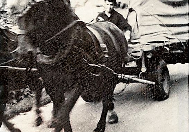 Fuhrmann Paul Gygax mit einer Ladung grosser Stoffrollen.Bild: zvg