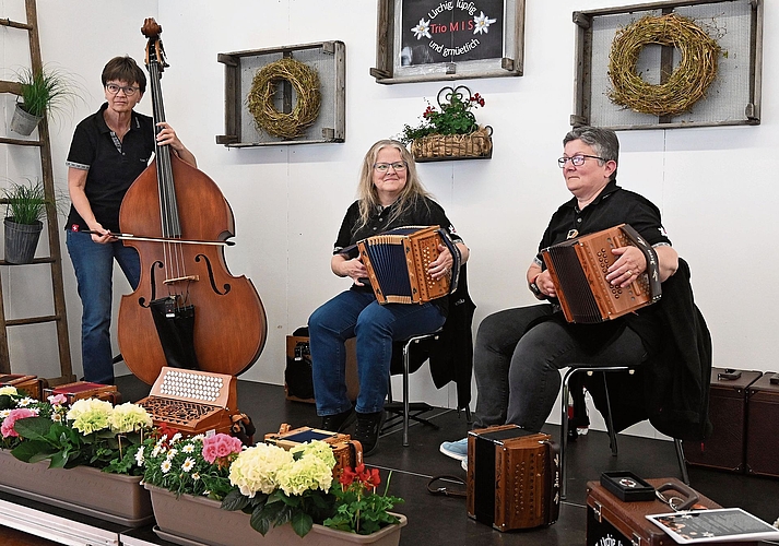 Das Trio MIS spielte zur Unterhaltung auf.Bild: thomas Fürst