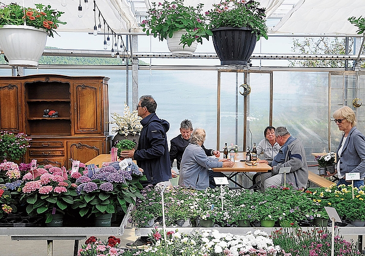 Im «Triibhuus» konnte man entweder verweilen oder vom reichhaltigen Blumenangebot profitieren.