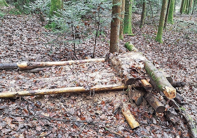 Im Oftringer Bühnenbergwald wurde ein Beispiel eines illegalen Trails entdeckt.Bild: zvg