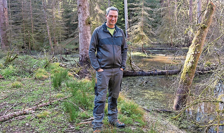 Förster Beat Steffen beim Naturwaldreservat Langholz in Rothrist. Normalerweise hat es hier um diese Zeit deutlich mehr Wasser.Bild: Melissa Burkhard