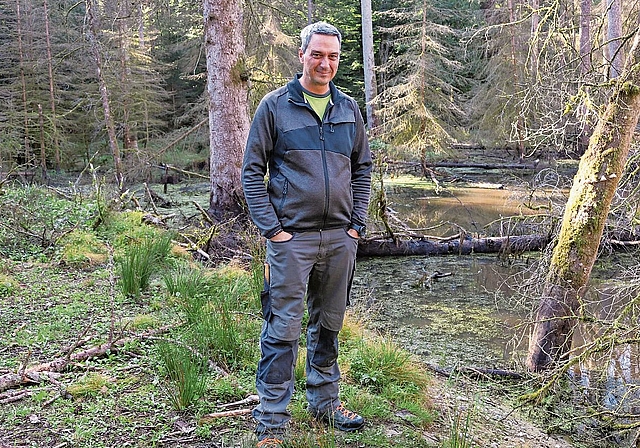 Förster Beat Steffen beim Naturwaldreservat Langholz in Rothrist. Normalerweise hat es hier um diese Zeit deutlich mehr Wasser.Bild: Melissa Burkhard