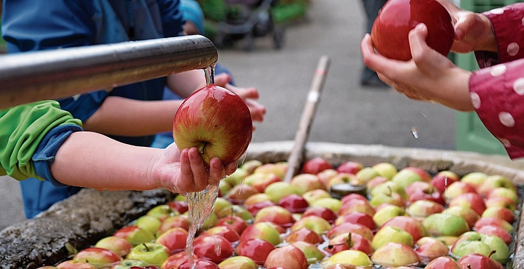 Im Brunnen werden die Äpfel gründlich gewaschen.Bild: zvg