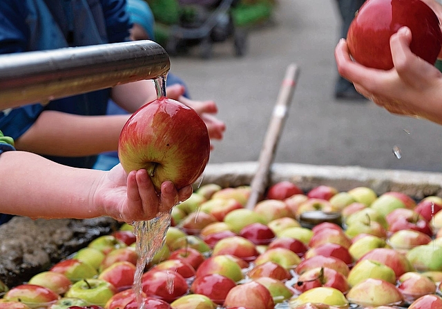Im Brunnen werden die Äpfel gründlich gewaschen.Bild: zvg