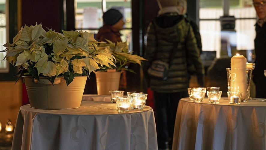 Stimmungsvolle Beleuchtung für die Christrosen.