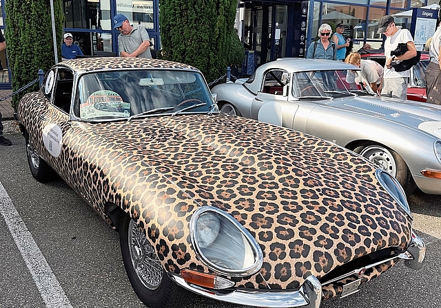 Im Design von 100 Jahre Jaguar und Emil Frey.
