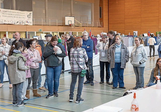 Gespanntes Warten auf die finalen Entscheidungen.