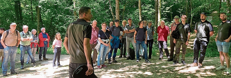 Rund 40 Personen nahmen am diesjährigen Waldgang teil.Bild: heinz Hug