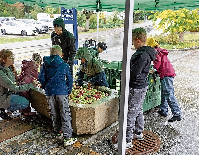 Die jungen Helferinnen und Helfer sorgten dafür, dass die Äpfel sauber in die Presse gelangten. Die jungen Helferinnen und Helfer sorgten dafür, dass die Äpfel sauber in die Presse gelangten.