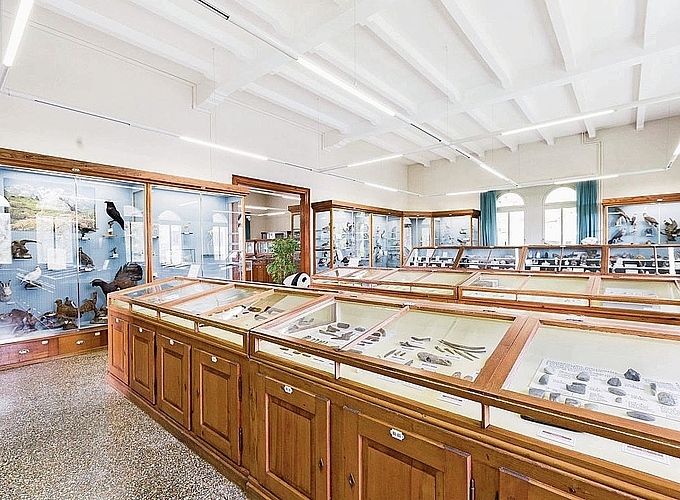 In der naturhistorischen Abteilung des Museums Zofingen lagern unzählige Schätze.bild: Ramona Tollardo In der naturhistorischen Abteilung des Museums Zofingen lagern unzählige Schätze.bild: Ramona Tollardo