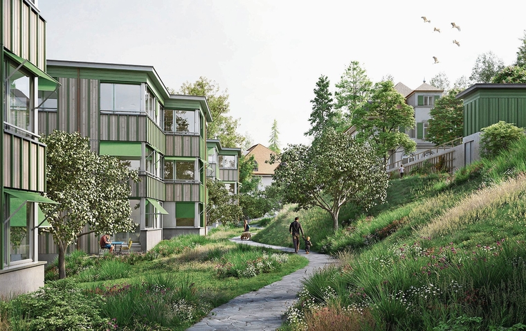 Das Siegerprojekt wird im Rathaus vorgestellt.Bild:zvg