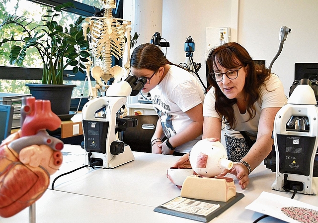 Im Biologiezimmer der Kanti Zofingen gab es einiges zu bestaunen und entdecken.