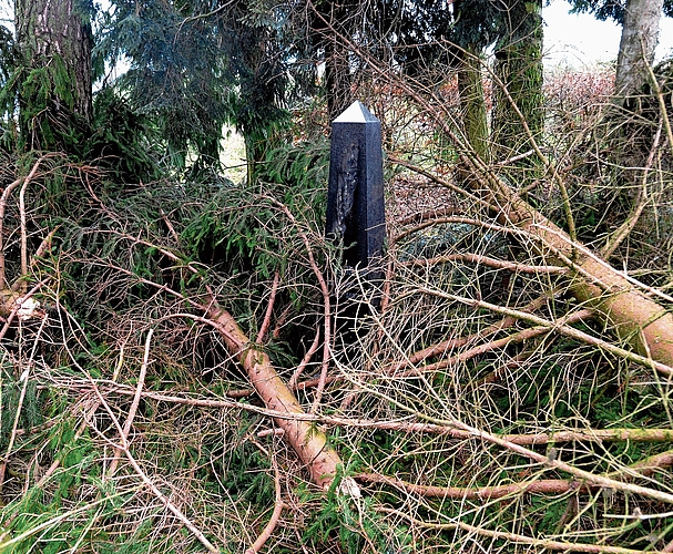 Solchen Schäden möchte man mit dem Entfernen des Fichtenbestands vorbeugen.Bild: zvg Solchen Schäden möchte man mit dem Entfernen des Fichtenbestands vorbeugen.Bild: zvg