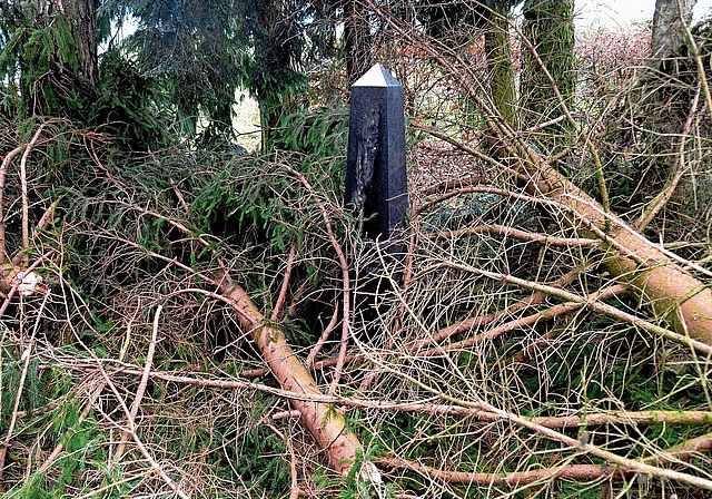 Solchen Schäden möchte man mit dem Entfernen des Fichtenbestands vorbeugen.Bild: zvg