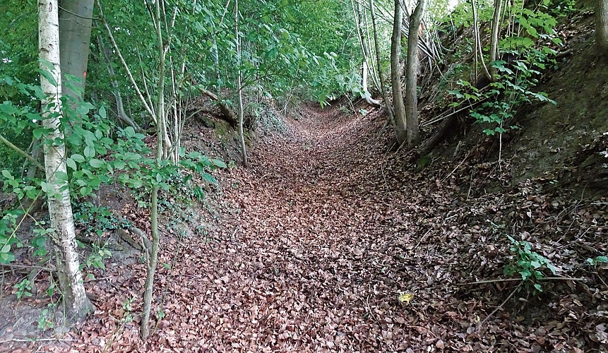 Der laubbedeckte Hohlweg im unteren Teil der Chüegass.Bilder: zvg Der laubbedeckte Hohlweg im unteren Teil der Chüegass.Bilder: zvg