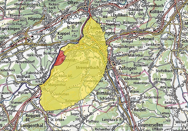 Die provisorische Karte mit dem Befallsherd (rot) und der Pufferzone (gelb). Es kann noch zu minimalen Anpassungen der Grenzen kommen, die Gemeinden werden sich jedoch nicht mehr ändern.Screenshot: ag.ch/geoportal
