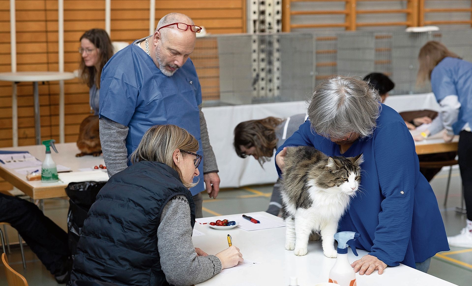 Richterin Sara Moroni (IT) beim Schreiben des Wertungsberichtes.