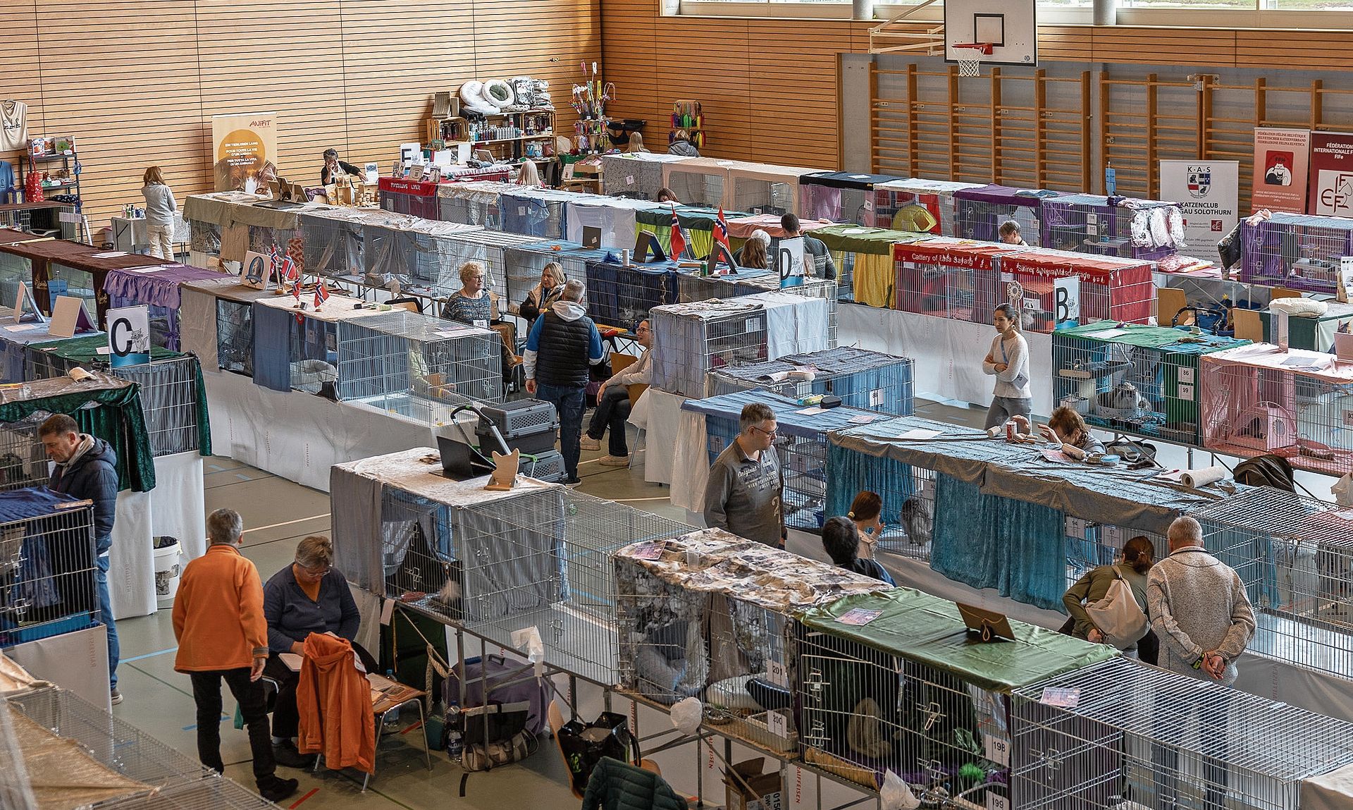 Die Käfigdekorationen sind nicht nur hübsch, sondern entsprechen den Vorgaben des Tierschutzes.bilder: Patrick Luethi