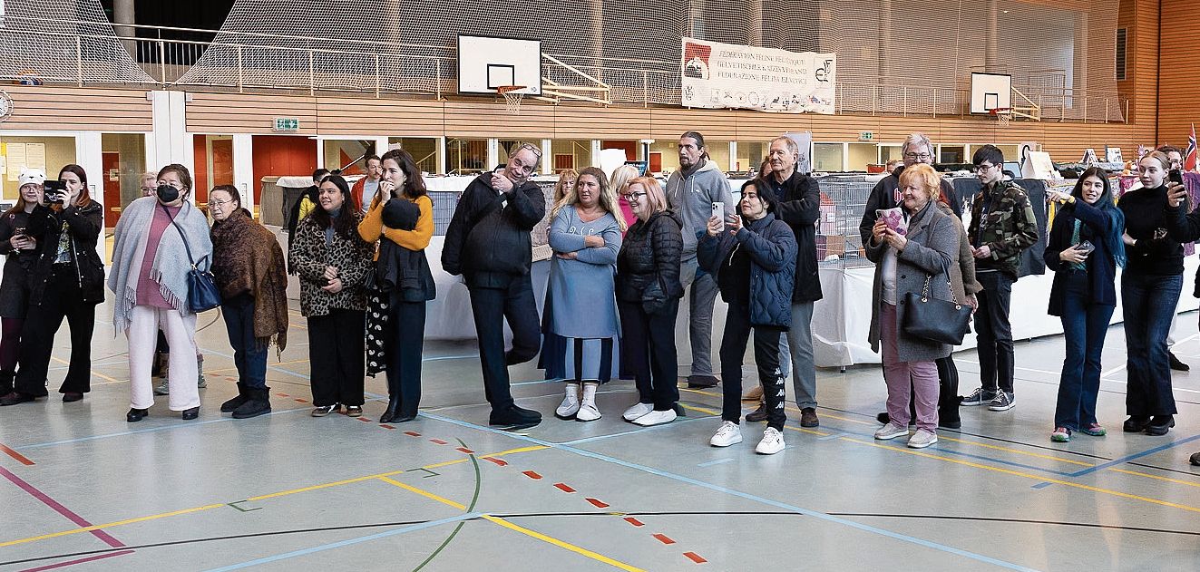 Besucher und Züchter verfolgten gemeinsam die Sondershow.