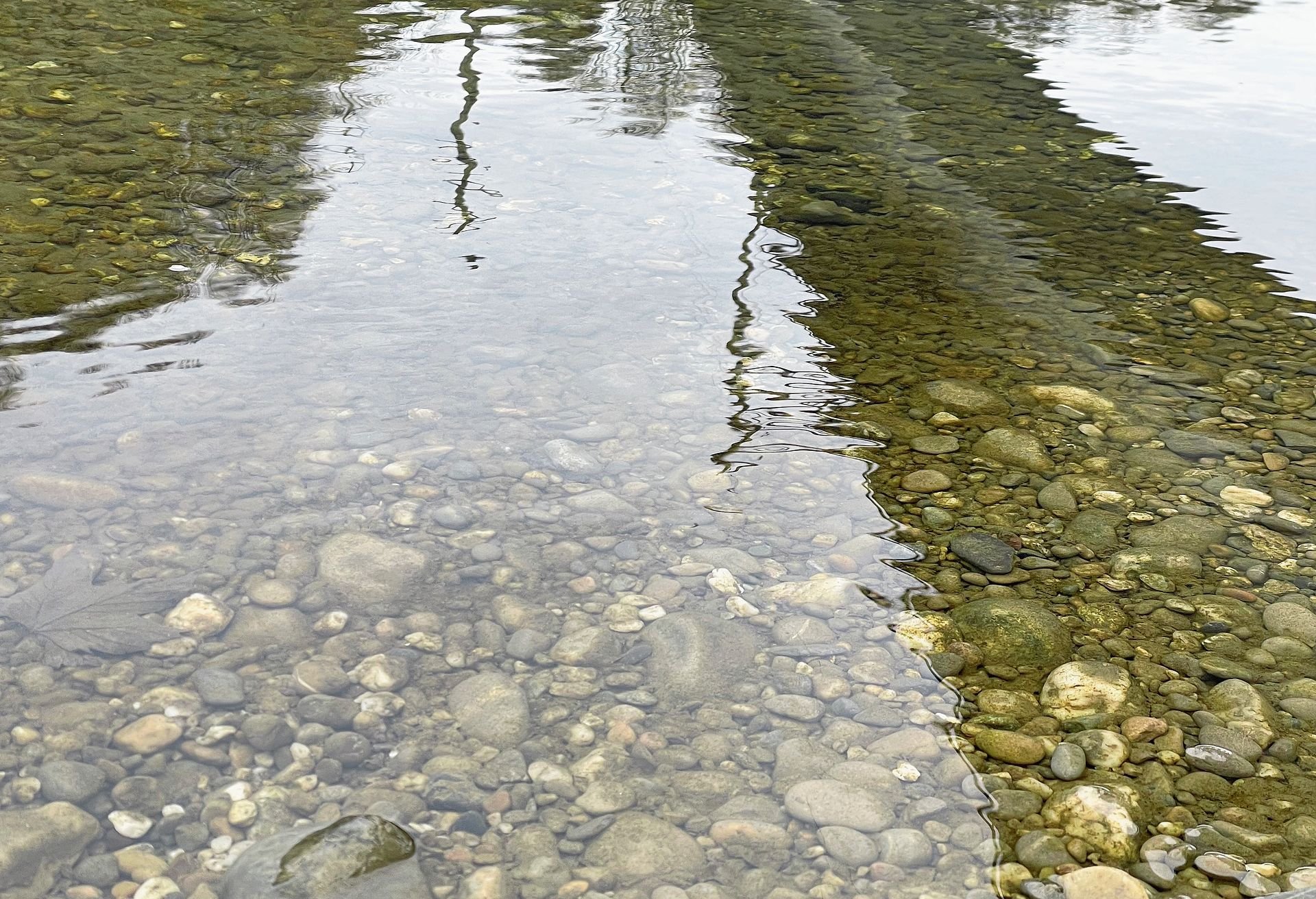 Der Wasserstand der Aare ist extrem niedrig.