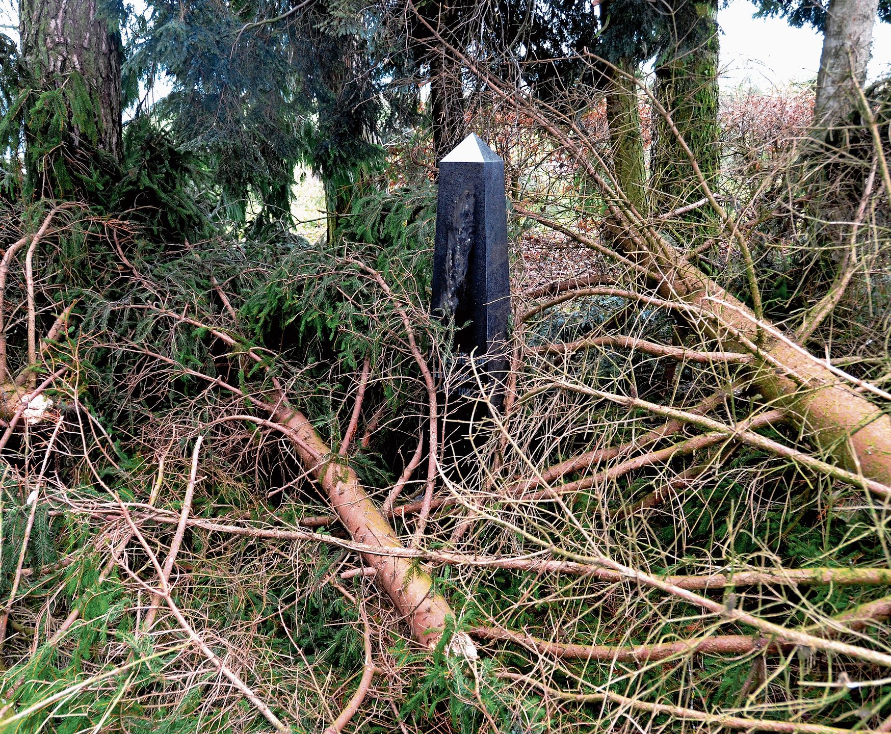 Solchen Schäden möchte man mit dem Entfernen des Fichtenbestands vorbeugen.Bild: zvg Solchen Schäden möchte man mit dem Entfernen des Fichtenbestands vorbeugen.Bild: zvg