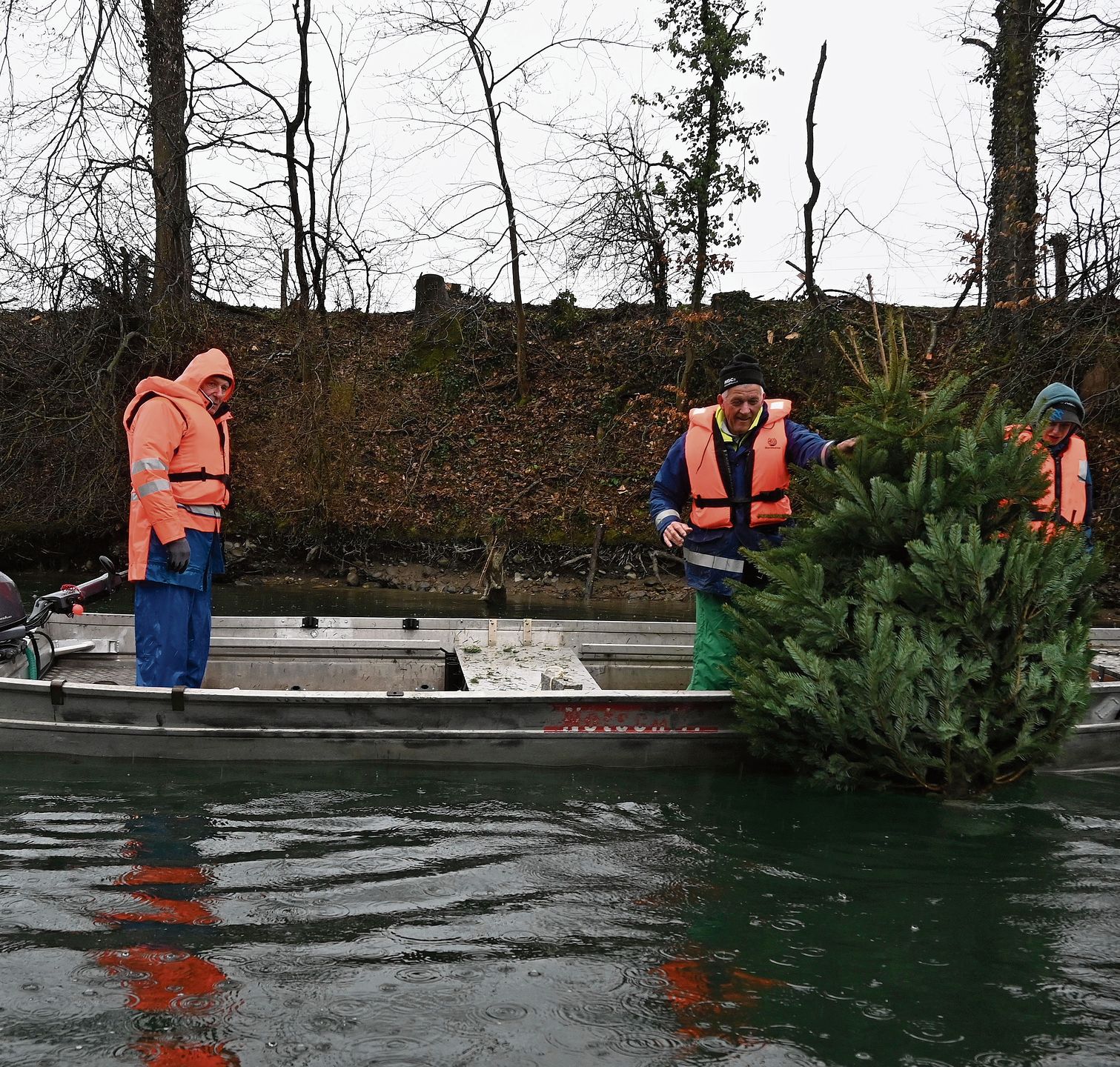 Beobachtet von Christoph Oschwald versenken Jürg Wullschleger und Rico Haschka einen weiteren Weihnachtsbaum in der Aare.