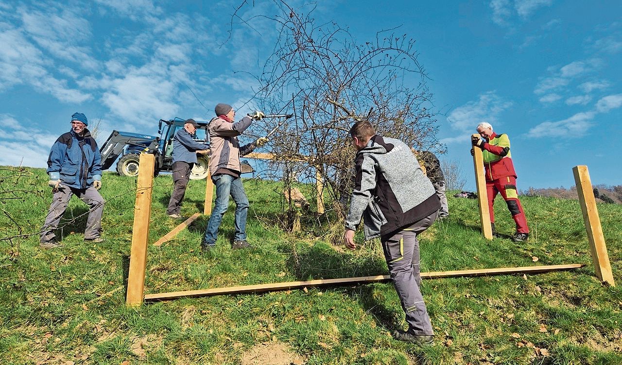 Auch beim Einzäunen war der Steigunswinkel beträchtlich.Bild: Tobias Stöckli Auch beim Einzäunen war der Steigunswinkel beträchtlich.Bild: Tobias Stöckli
