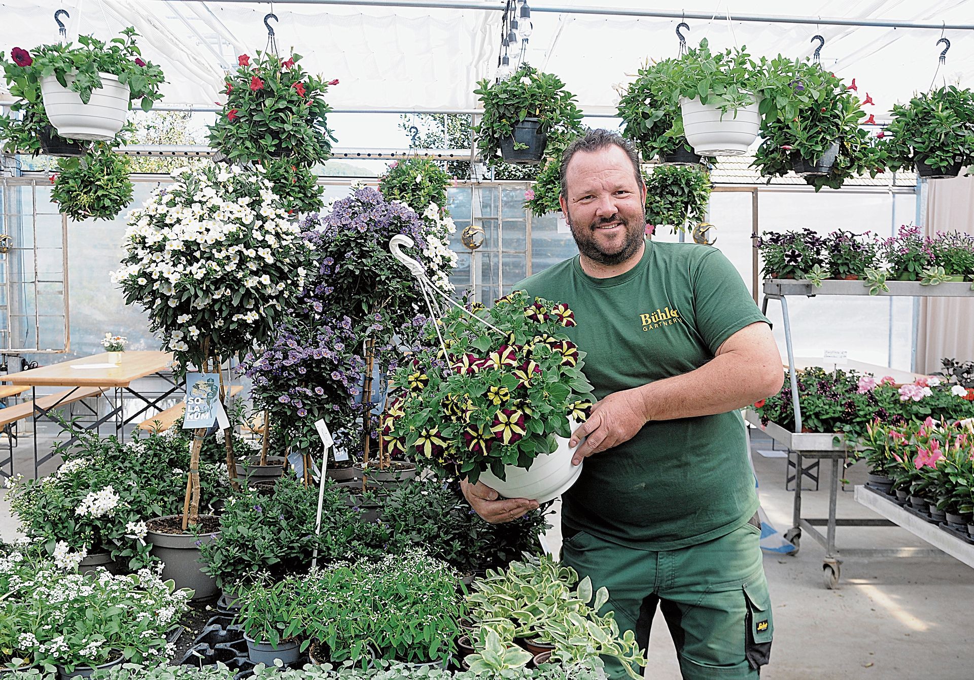 André Bühler präsentiert eine Hängepetunie.Bilder: Beat Wyttenbach