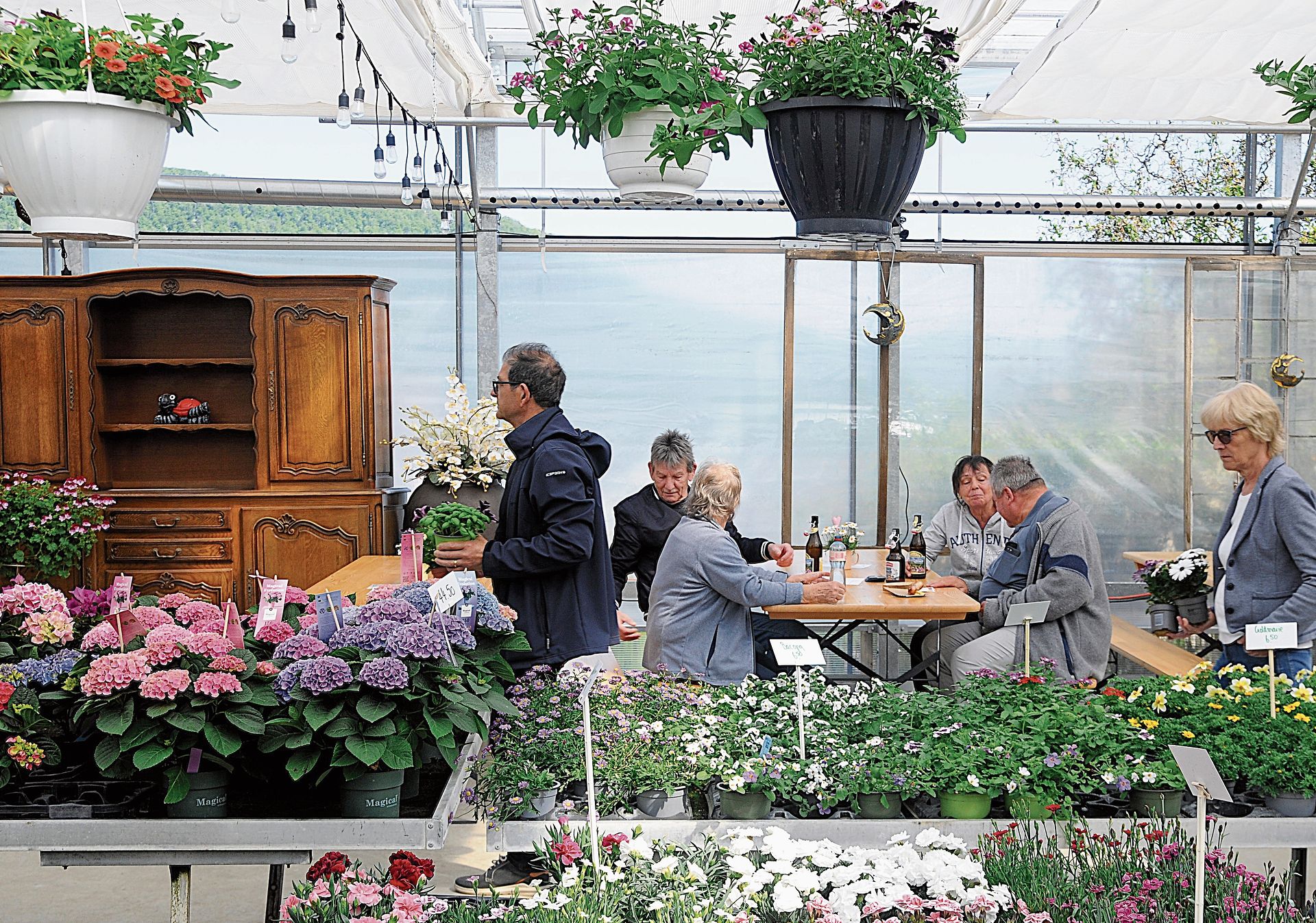 Im «Triibhuus» konnte man entweder verweilen oder vom reichhaltigen Blumenangebot profitieren.