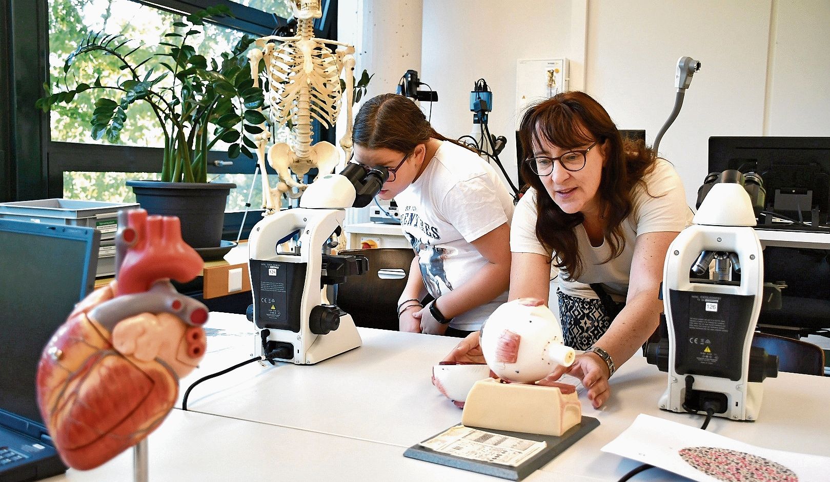 Im Biologiezimmer der Kanti Zofingen gab es einiges zu bestaunen und entdecken. Im Biologiezimmer der Kanti Zofingen gab es einiges zu bestaunen und entdecken.
