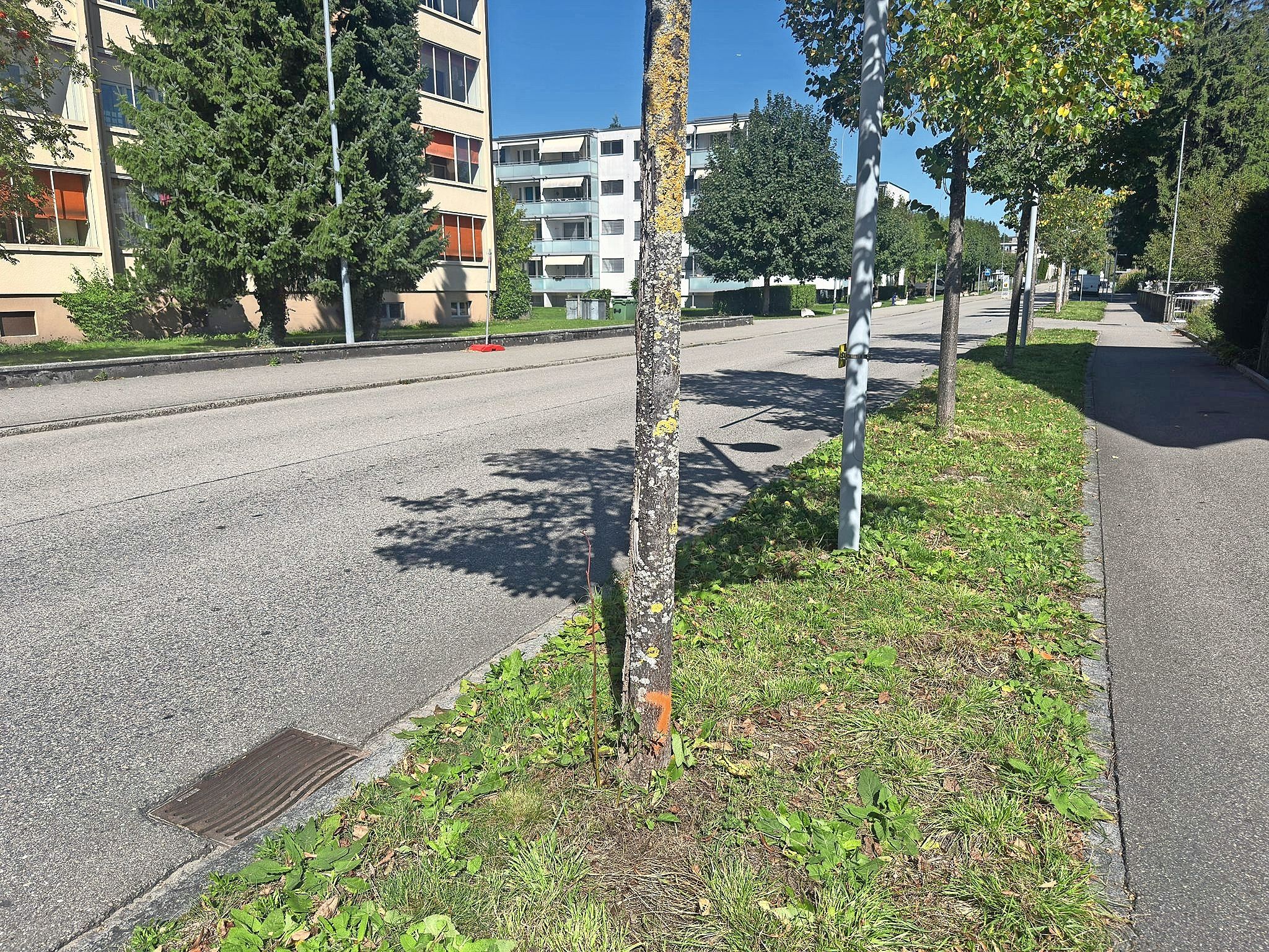 s3hub-wiggertal-productionuploads202509e8303946-bdd4-ca45-3375-8a89df13fba7-1965494.jpeg